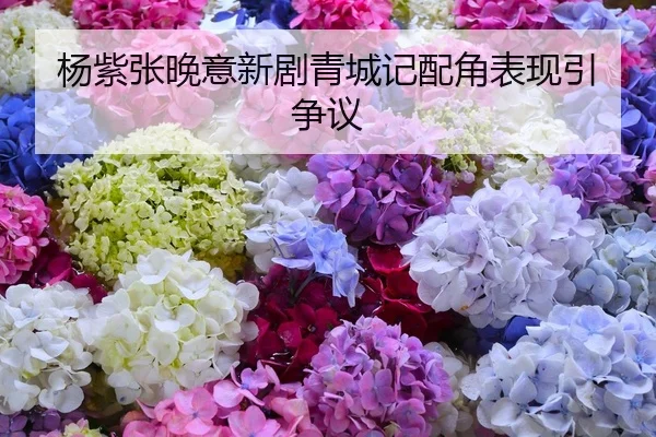 杨紫张晚意新剧青城记配角表现引争议